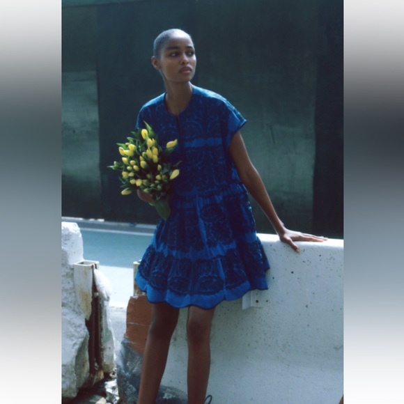 Zara SHORT EMBROIDERED DRESS. Bluish. Sizes M, L. New with Tags. - Picture 3 of 7